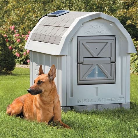 insulated pet house outdoor